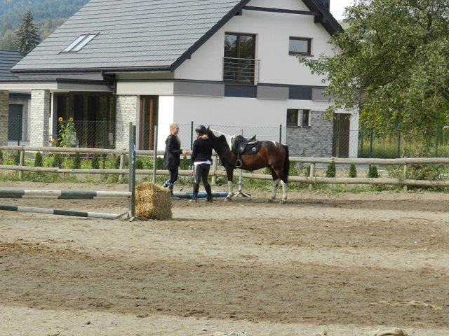 Babie Lato 2016
